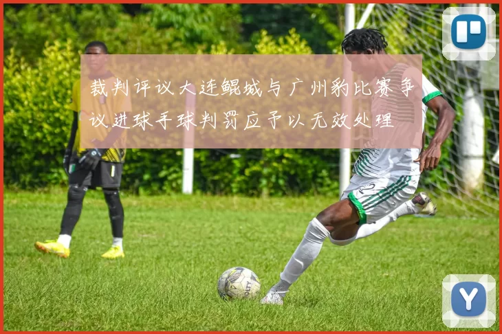 裁判评议大连鲲城与广州豹比赛争议进球手球判罚应予以无效处理