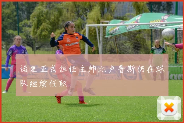 诺里正式担任主帅比卢普斯仍在球队继续任职